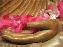 Buddha Hand
