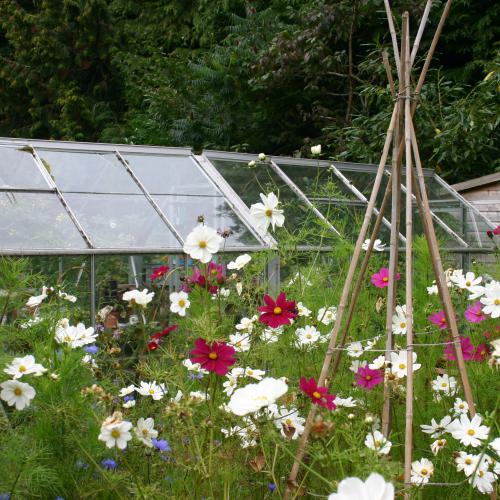 Greenhouse